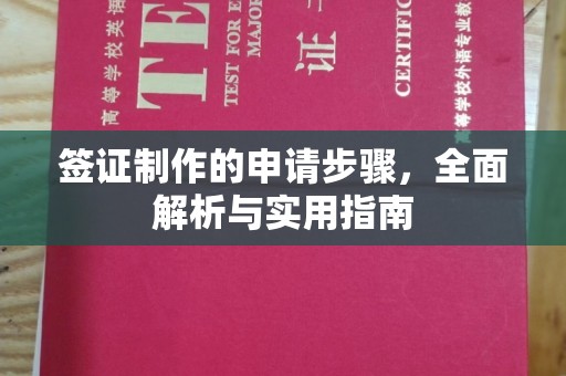 甘谷签证制作的申请步骤，全面解析与实用指南