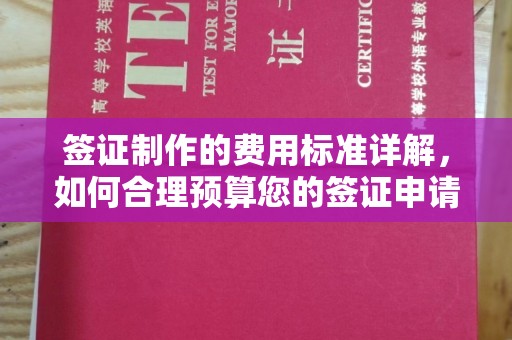 甘谷签证制作的费用标准详解，如何合理预算您的签证申请成本